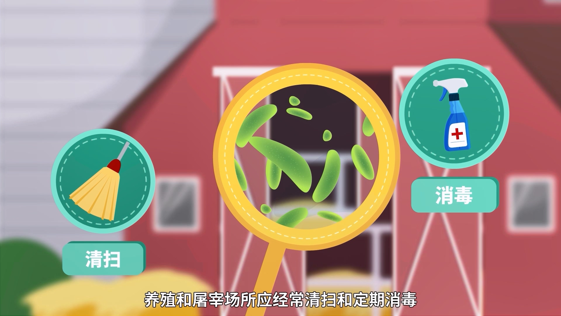 布鲁氏菌病防控【动画视频】